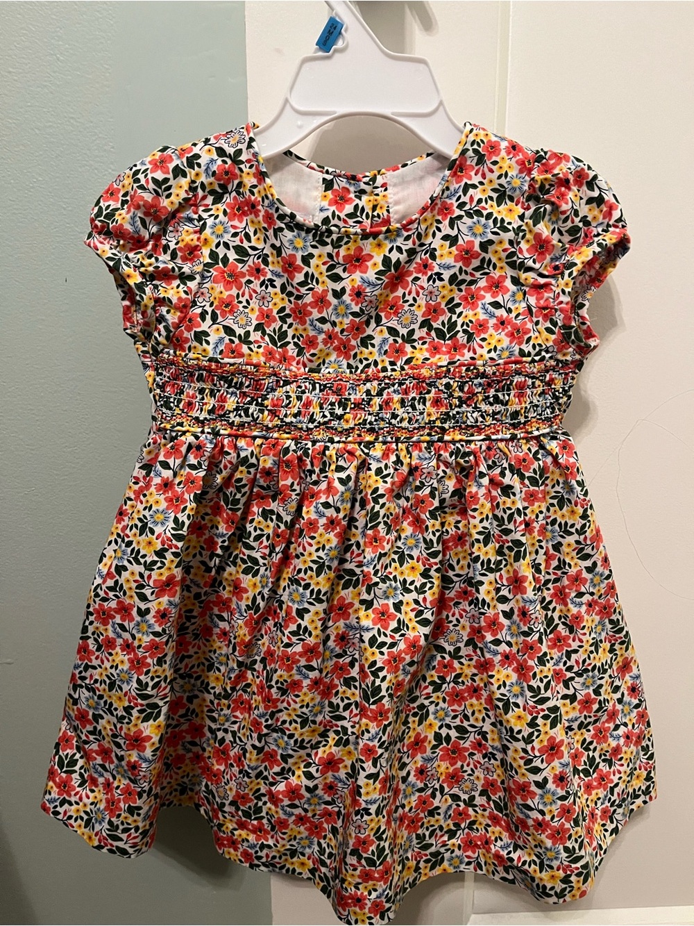 Iris and Ivy toddler girls dress